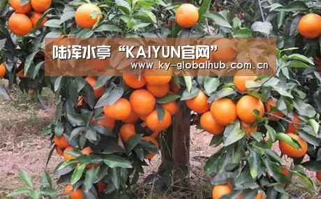 陆浑水亭“KAIYUN官网”(图1) KAIYUN官网