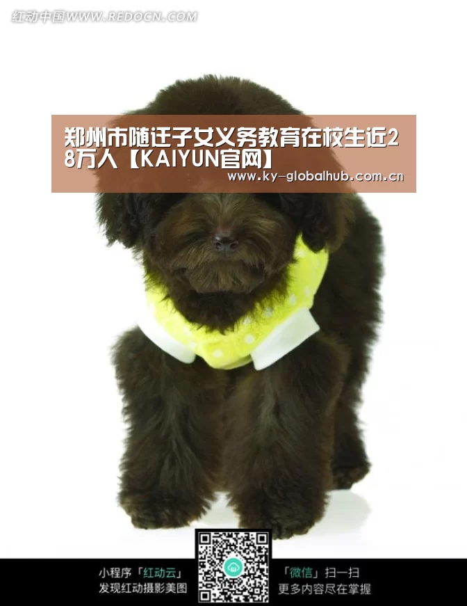 郑州市随迁子女义务教育在校生近28万人【KAIYUN官网】(图2) 开云赛事