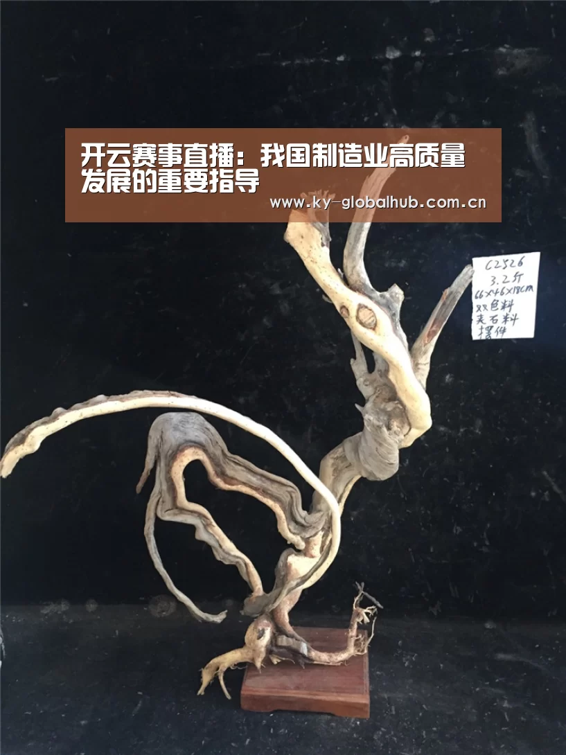 开云赛事直播:我国制造业高质量发展的重要指导(图2) 开云体育直播
