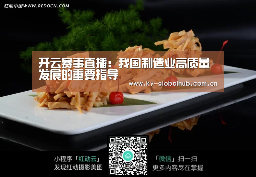 开云赛事直播:我国制造业高质量发展的重要指导(图1) 开云赛事直播