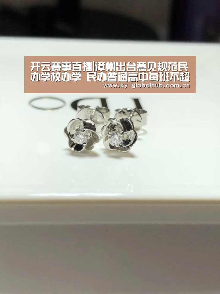 开云赛事直播|漳州出台意见规范民办学校办学 民办普通高中每班不超54人(图1) 开云热门赛事