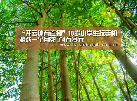 “开云体育直播”10岁小学生玩手机游戏一个月花了4万多元(图3) 开云热门赛事