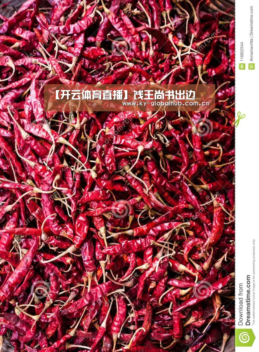 【开云体育直播】饯王尚书出边(图3) KAIYUN官网