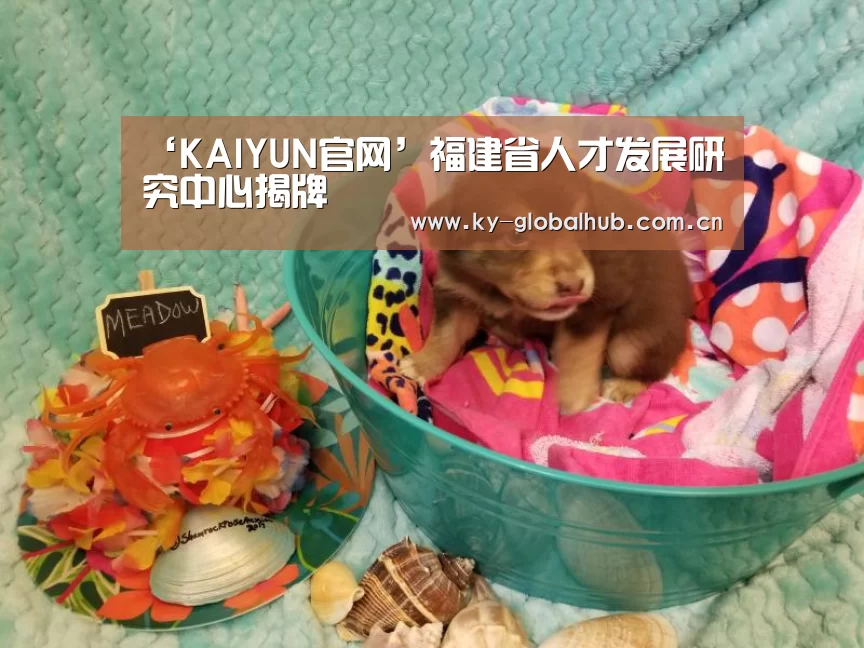 ‘KAIYUN官网’福建省人才发展研究中心揭牌(图1) 开云赛事直播