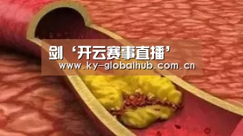剑‘开云赛事直播’(图2) 开云热门赛事