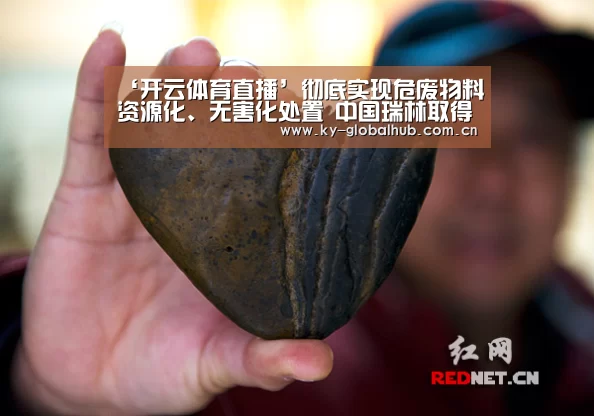 ‘开云体育直播’彻底实现危废物料资源化、无害化处置 中国瑞林取得固废领域创新成果(图4) 开云体育直播