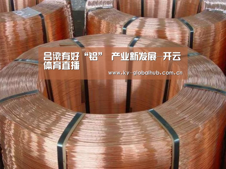 吕梁有好“铝” 产业新发展-开云体育直播(图3) 开云赛事