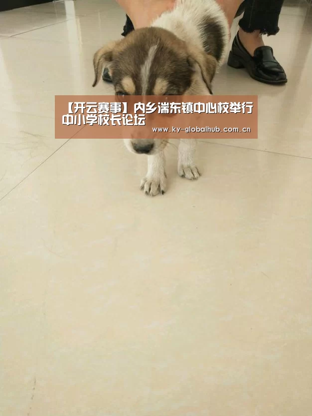 开云热门赛事
